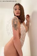 Foto Akita Trans Asiatica Trans Padova - 34