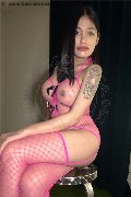 Foto Akita Trans Asiatica Trans Padova - 17