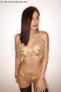 Foto Akita Trans Asiatica Trans Padova - 11