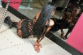Foto Aline Fenaroly Trans Bologna - 106