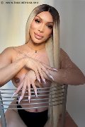 Foto Angel Bunny Trans Milano - 5