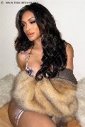 Foto Angel Bunny Transescort Milano - 52