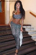 Foto Campbell Trans Porto - 2