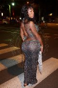 Foto Campbell Trans Porto - 6