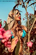 Foto Chrystal Medeiros Pornostar Trans Roma - 52