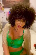 Foto Daysy Transescort Gallarate - 4