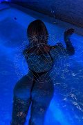 Foto Ellena Bittencourt Trans Torino - 63