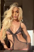 Foto Fernanda Ambrosio Trans Milano - 58