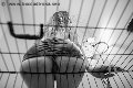 Foto Lady Giuliette Mistress Verona - 13