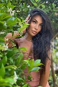 Foto Mandy Asiatica Trans Como - 38