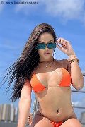 Foto Natty Collin Trans Avignone - 26