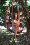 Foto Natyelle Ninfeta Trans Roma - 55