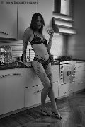 Foto Nyx Trans Torino - 37