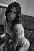 Foto Nyx Trans Torino - 30
