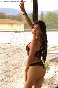 Foto Thays Trans Rimini - 40