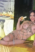 Foto Thays Trans Rimini - 54