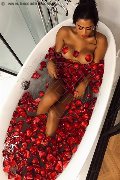 Foto Violeta Trans Termoli - 11