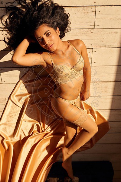 Foto Gianna Martins  Trans 3466189005