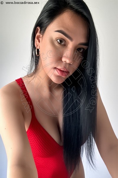 Foto Hellen  Trans 3717911706