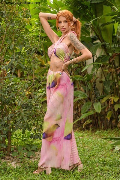 Foto Miranda Hot  Escort 3924622964