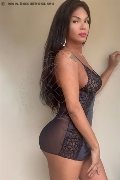 Foto Ana Paola Tx Transescort Prato - 14
