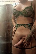 Foto Hot Luce Trans Bologna - 2