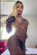 Foto Luna Fox Trans Desenzano Del Garda - 2
