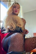 Foto Luna Fox Trans Desenzano Del Garda - 4