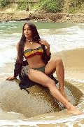 Foto Mirella Brasiliana Trans Novara - 4