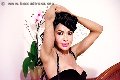 Foto Tain� Oliveira Trans Prato - 29