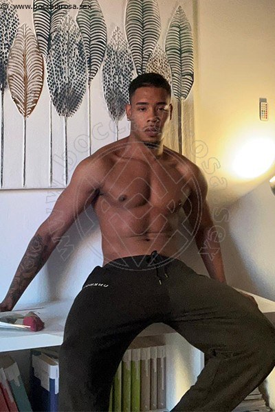 Foto Apollo Boys 3508625713