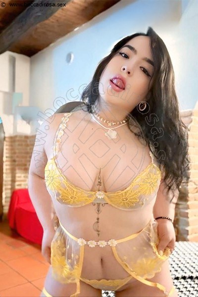 Foto Clara Colombiana Escort 3312138934